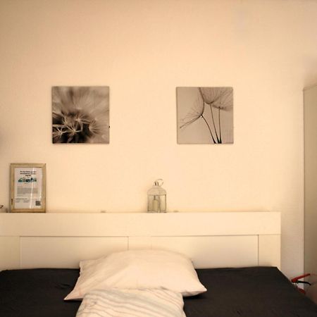 Gemuetliches Grosszuegiges Apartment Höhr-Grenzhausen Eksteriør billede