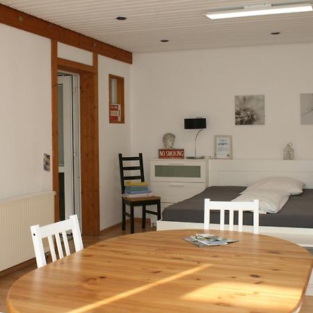 Gemuetliches Grosszuegiges Apartment Höhr-Grenzhausen Eksteriør billede