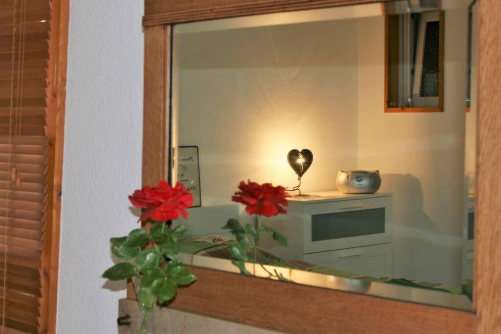 Gemuetliches Grosszuegiges Apartment Höhr-Grenzhausen Eksteriør billede