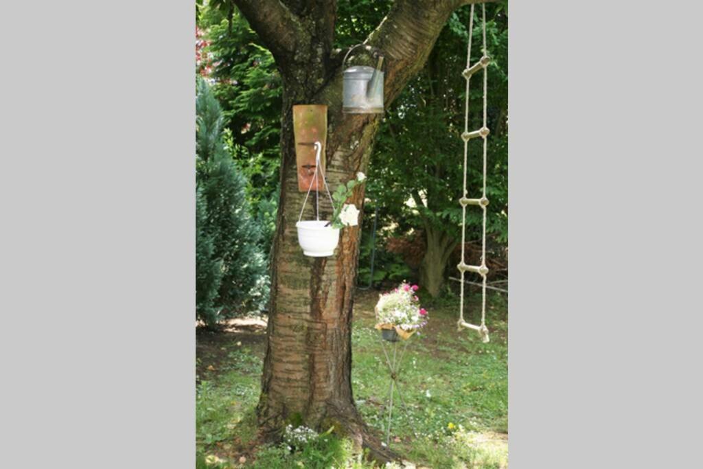 Gemuetliches Grosszuegiges Apartment Höhr-Grenzhausen Eksteriør billede